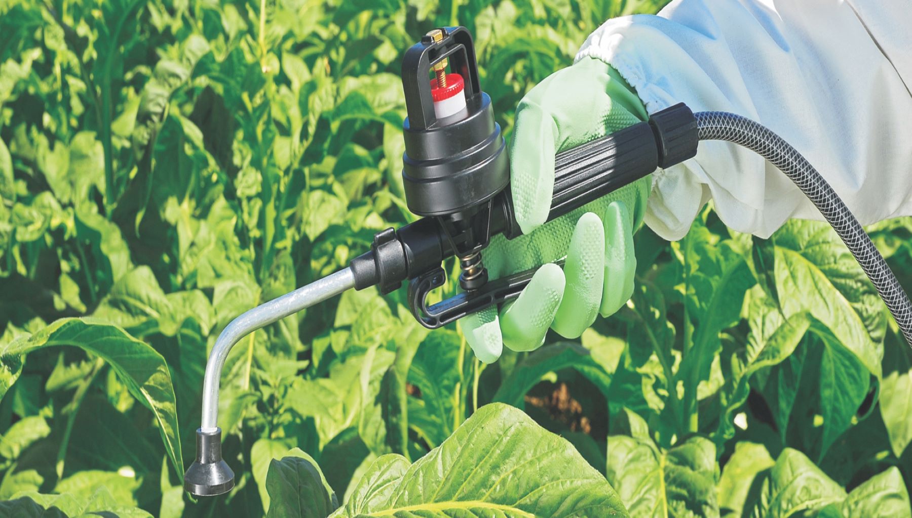 Dosing vale for precise herbicide, pesticide or fertiliser application